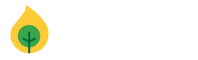 Wonderstory christian animation studio WHITE v1 - Christian Animation Studio & Christian Animators